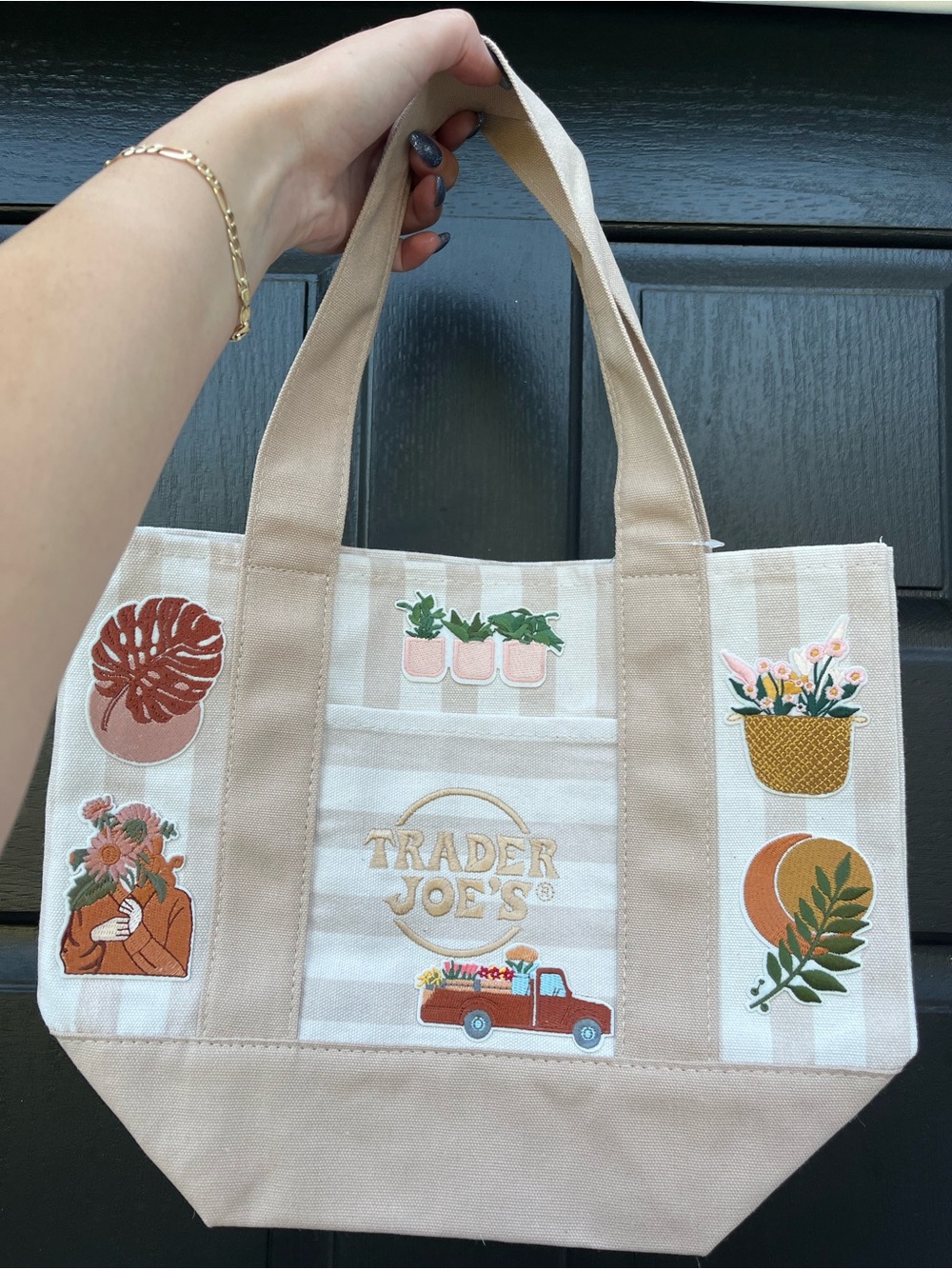 ✨ Trader Joe’s Desert Sand Striped "Farmer's Market Blooms" Mini Tote Bag 💐 🪴🌞✨